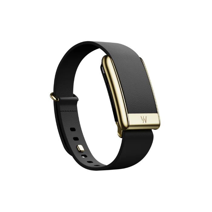 Whoop 5.0 LeatherLuxe Tapered Band - Black and Gold 01